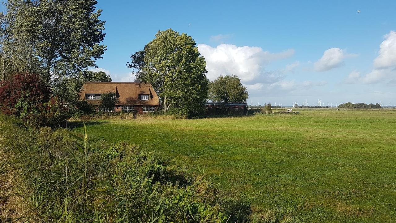 Ferienwohnung Marschkieker - Kleiner Deichhof Hattstedtermarsch Экстерьер фото